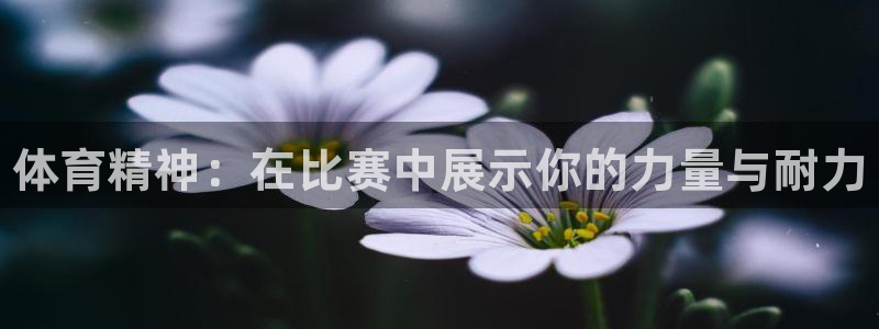3377体育官网下载平台注册流程图：体育精神：在比赛