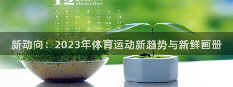 3377体育官网下载招商电话地址：新动向：2023年