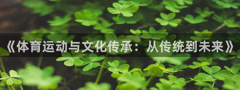 海南3377体育官网下载发展怎么样：《体育运动与文化
