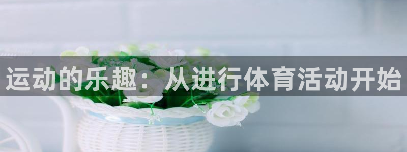 3377体育官方正版app集团logo：运动的乐趣：