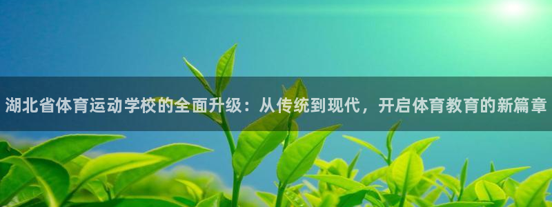 3377体育官方正版app集团logo：湖北省体育运