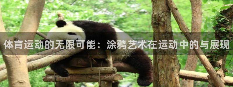 3377体育官网下载平台注册：体育运动的无限可能：涂