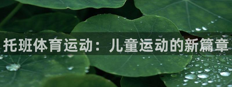 3377体育官方正版app官方：托班体育运动：儿童运