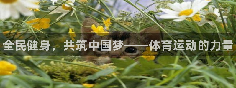 3377体育官网下载招商电话地址是多少：全民健身，共筑中国梦