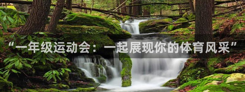 3377体育官方平台体育：“一年级运动会：一起展现你