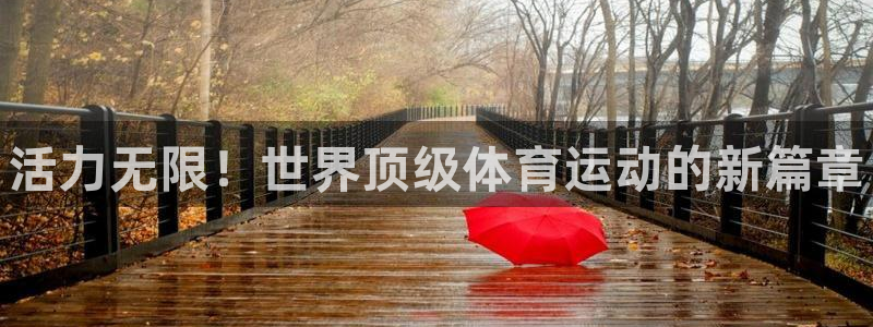3377体育官方平台体育：活力无限！世界顶级体育运动的新篇章
