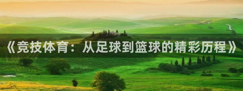 3377体育官网下载是干嘛的公司：《竞技体育：从足球到篮球的