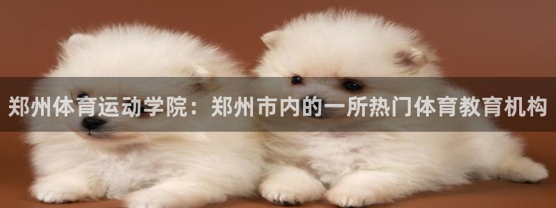 3377体育官方正版app代理：郑州体育运动学院：郑州市内的
