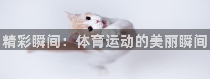 3377体育官方正版app集团E.ON：精彩瞬间：体