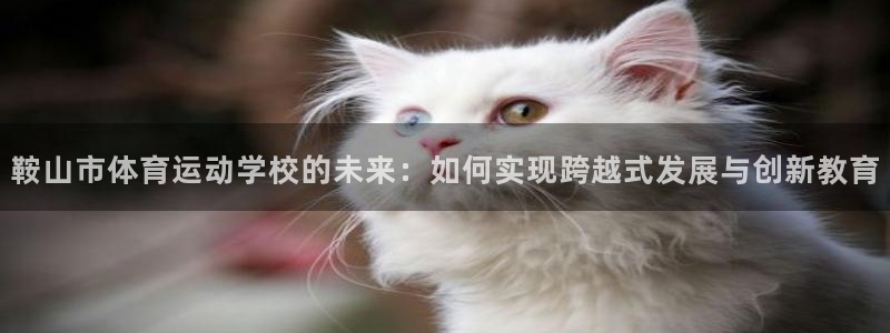 德国3377体育官方正版app集团：鞍山市体育运动学