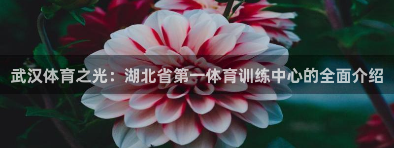 3377体育官网下载平台假的吗是真的吗吗：武汉体育之