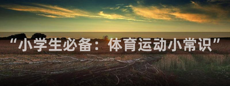 3377体育官方正版app代理：“小学生必备：体育运