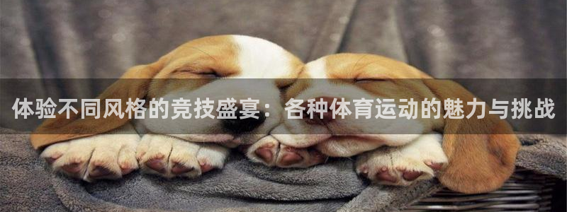 3377体育官方正版app集团E.ON：体验不同风格
