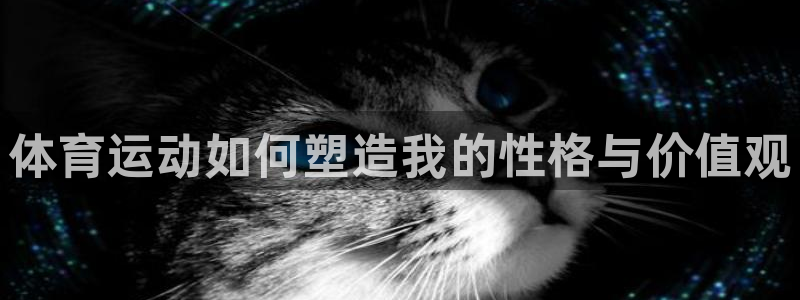 3377体育官方正版app娱乐：体育运动如何塑造我的