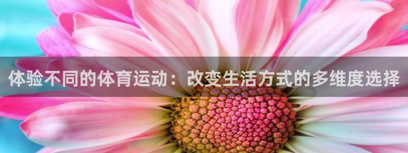 3377体育官方正版app官方：体验不同的体育运动：
