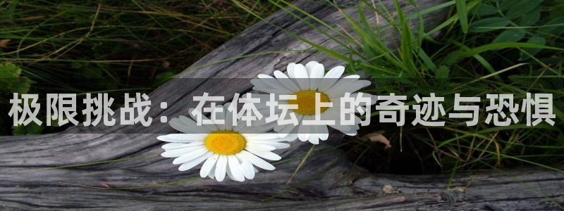 3377体育官网下载招商电话号码查询是多少：极限挑战：在体坛