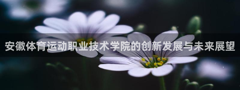 3377体育官网下载开户：安徽体育运动职业技术学院的