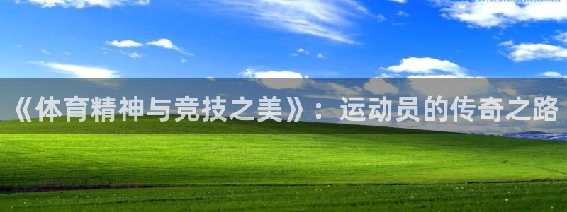 3377体育官网下载平台假的吗是真的吗吗：《体育精神与竞技之