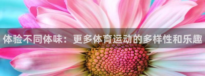 3377体育官网下载招商电话地址查询：体验不同体味：更多体育