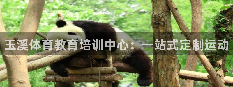 3377体育官方正版app集团logo：玉溪体育教育培训中心