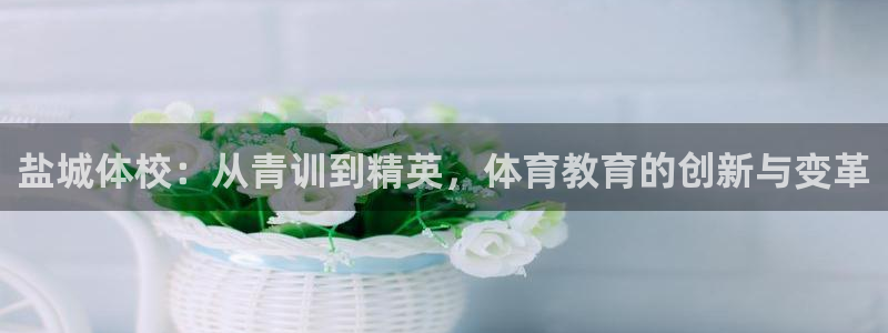 3377体育官方正版app官方：盐城体校：从青训到精