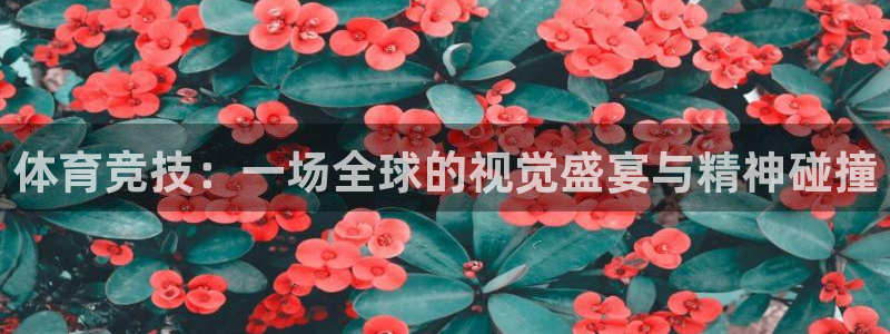 3377体育官网下载招商电话号码：体育竞技：一场全球