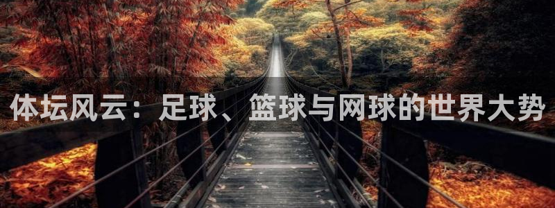 3377体育官方正版app集团官网网址：体坛风云：足