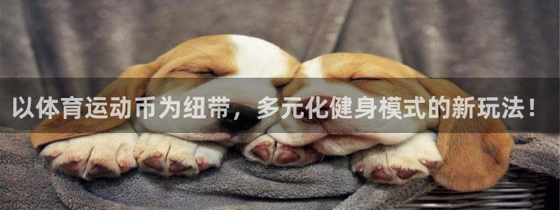 3377体育官网下载招商电话号码是多少啊