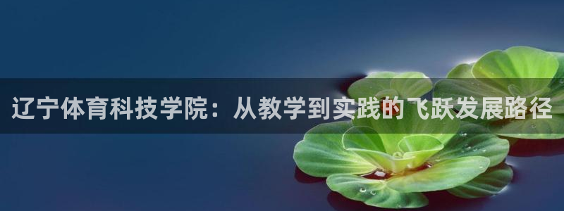 3377体育官网下载招商电话地址是多少