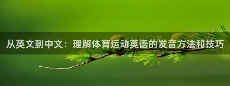 3377体育官网下载平台假的吗是真的吗：从英文到中文