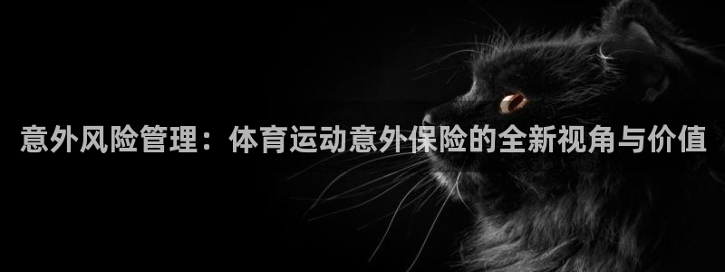 3377体育官方正版app集团：意外风险管理：体育运动意外保