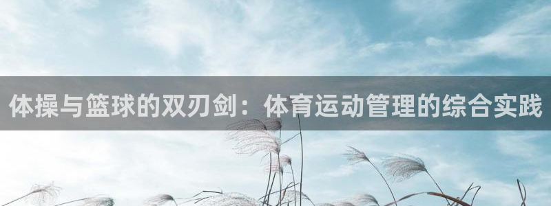 3377体育官网下载招商电话地址查询：体操与篮球的双