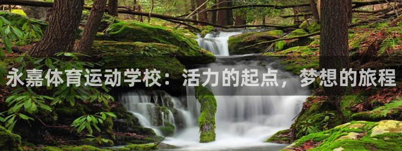 3377体育官网下载是干嘛的公司：永嘉体育运动学校：活力的起