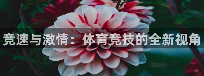 3377体育官网下载平台注册要钱吗安全吗：竞速与激情