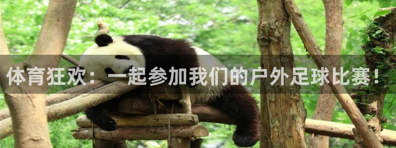 3377体育官方正版app代理