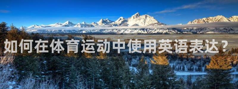 3377体育官网下载招商电话号码是多少号：如何在体育运动中使