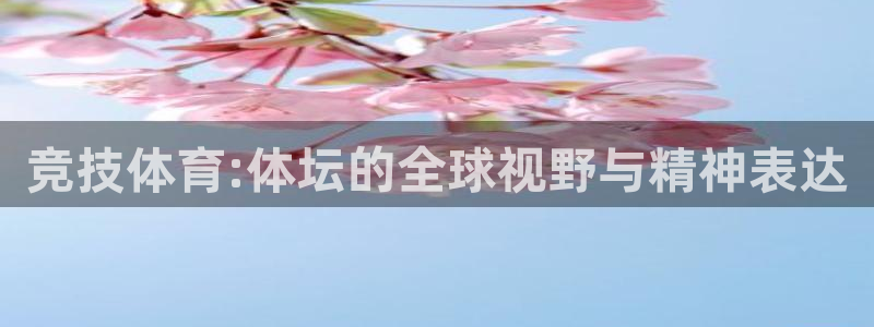 3377体育官网