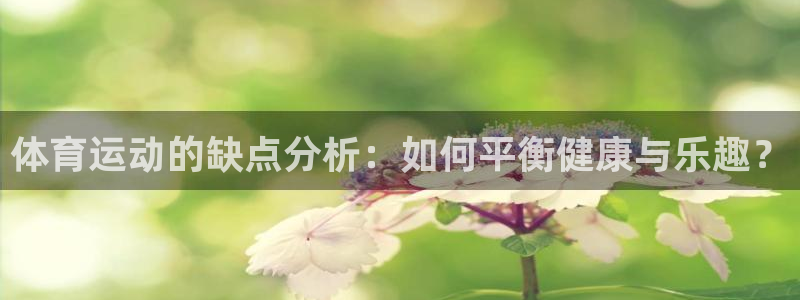 3377体育游戏