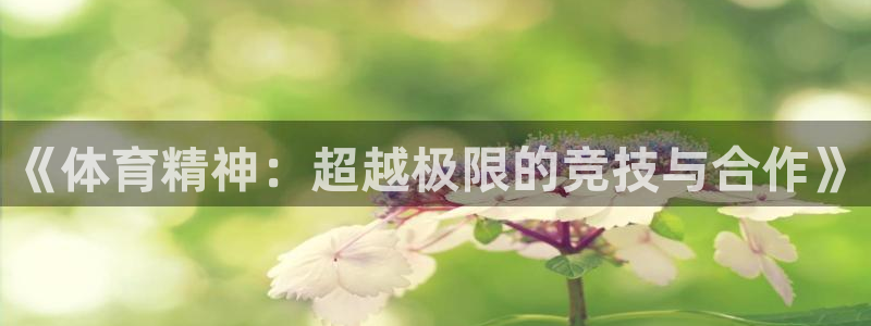 3377体育能爆吗