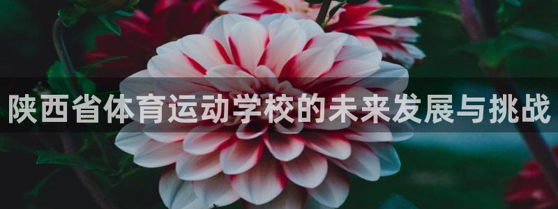 3377体育提款容易通过吗：陕西省体