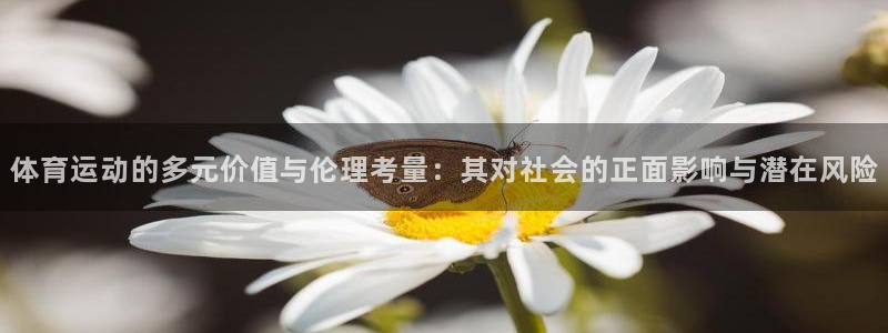 3377体育在线官网：体育运动的多元价值与伦理考量：其对社会