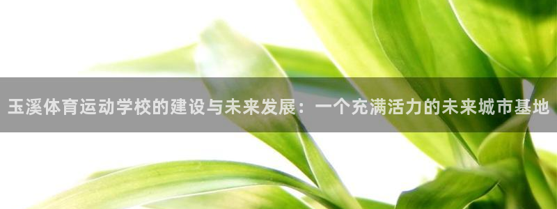  3377体育在线官网：玉溪体育运动学校的建设与未来发展：一个