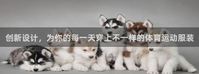  3377体育什么台子：创新设计，为你的每一天穿上不一样的体育