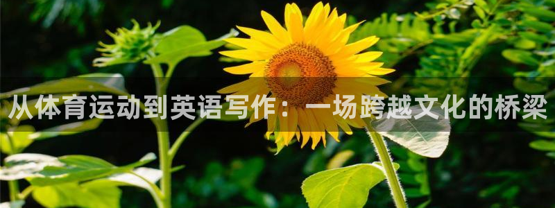 3377体育最厉害三个平台：从体育运动到英语写作：一场跨越文