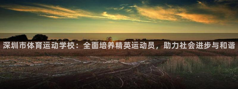  3377体育app倒闭了吗知乎：深圳市体育运动学校：全面培养