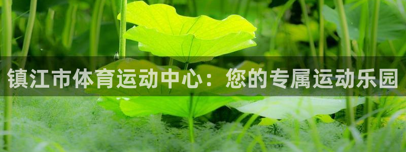  3377体育官网：镇江市体育运动中心：您的专属运动乐园