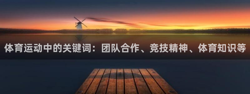 3377体育：体育运动中的关键词：团队合作、竞技精神、体育知