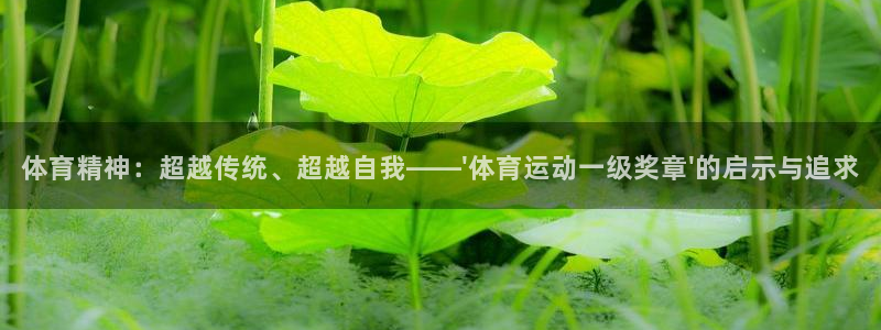 3377体育退款：体育精神：超越传统、超越自我——\'体育运
